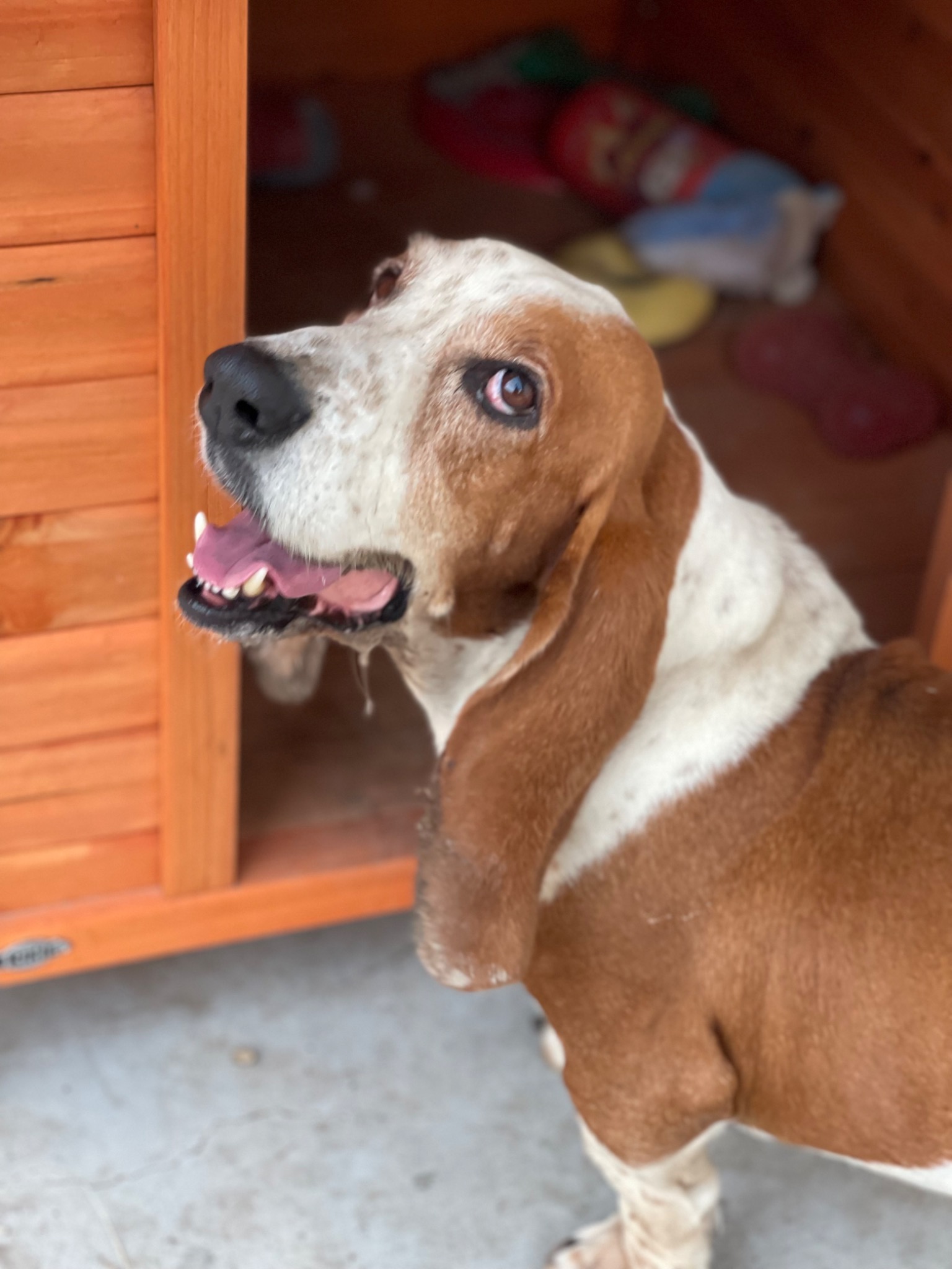 Larry looking up